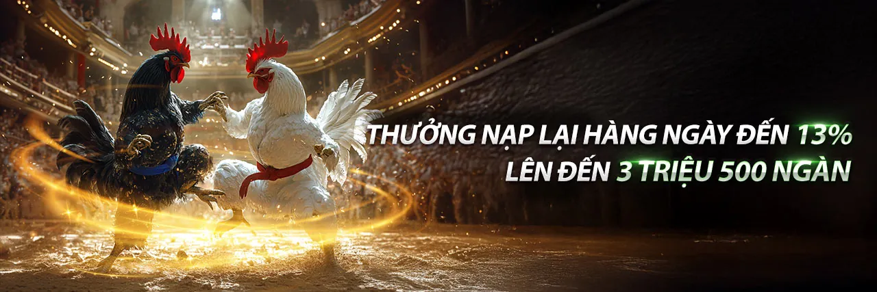 Đá Gà fe88 casino - Đấu trường kịch tính